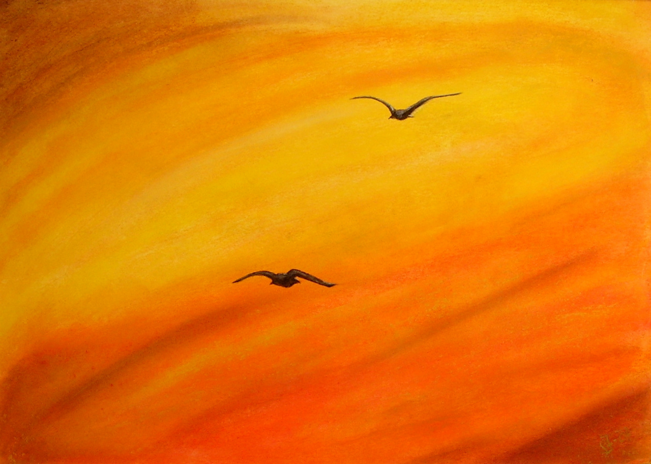 Fugle i solnedgang 